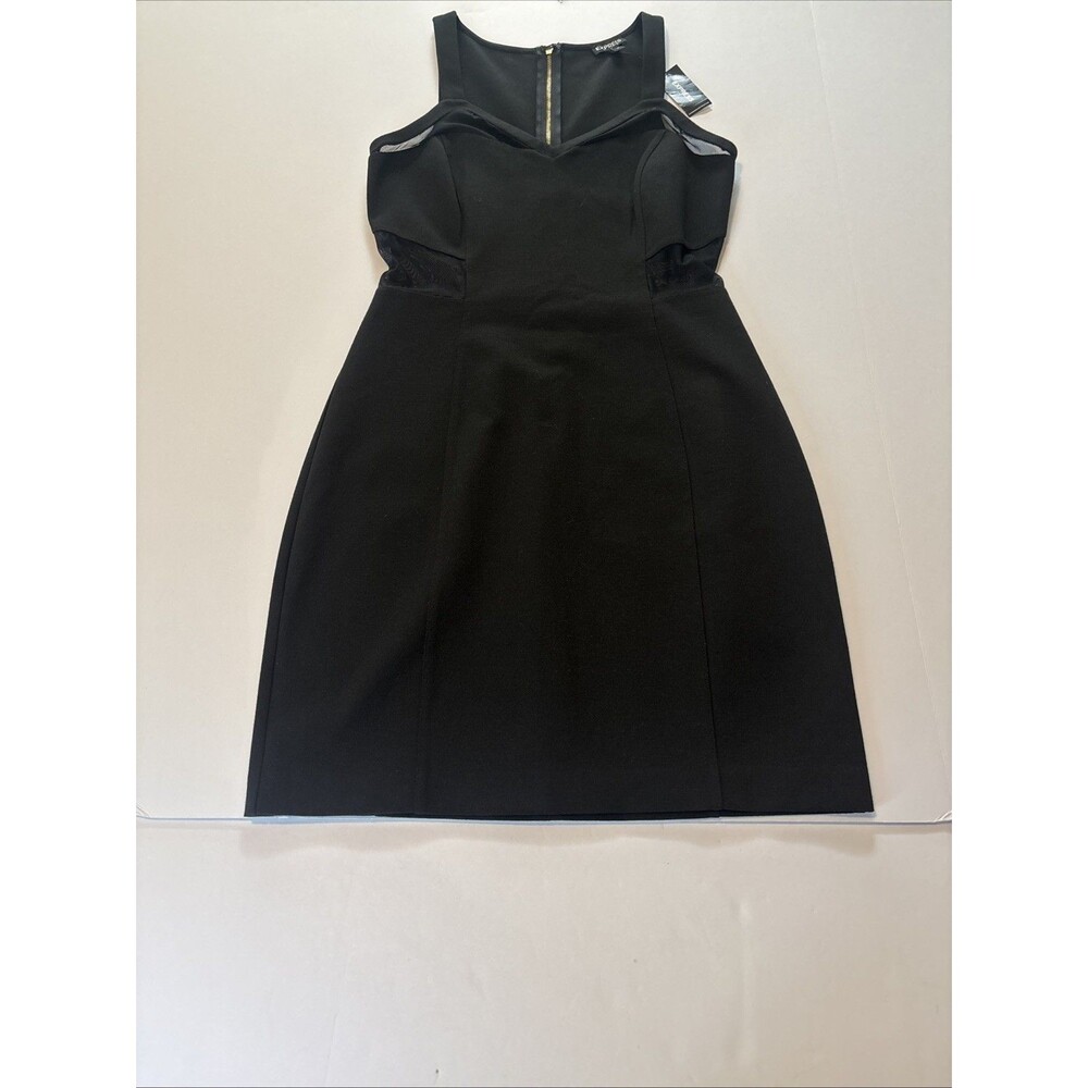 Express sleeveless Dress Size 6 Zips Down The Back With Tag